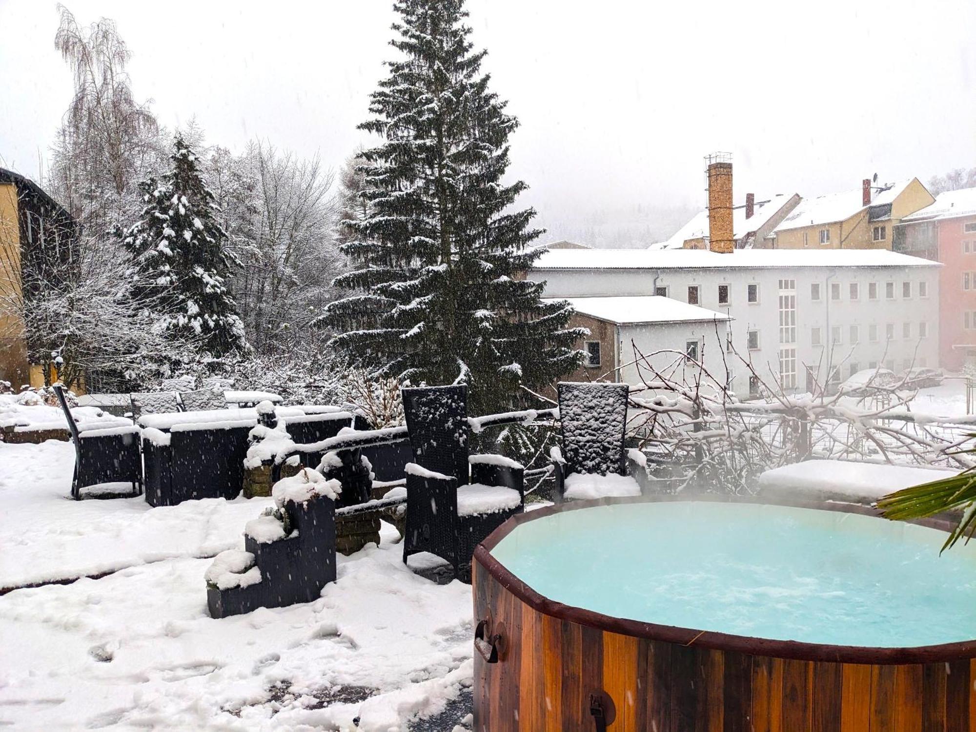 Hw3 - Urlaubsmagie - Helle, Grosse Mit Pool Apartment Sebnitz