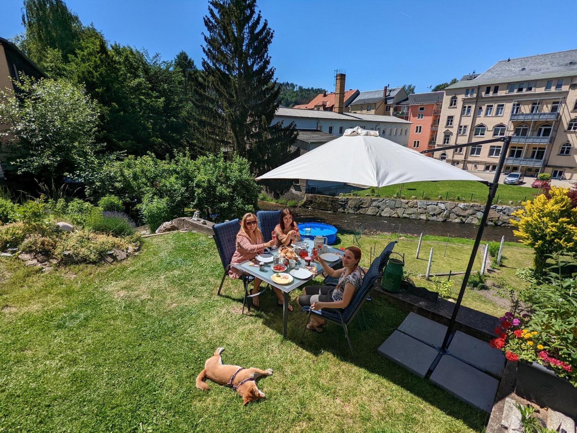 Hw3 - Urlaubsmagie - Helle, Grosse Mit Pool Apartment Sebnitz