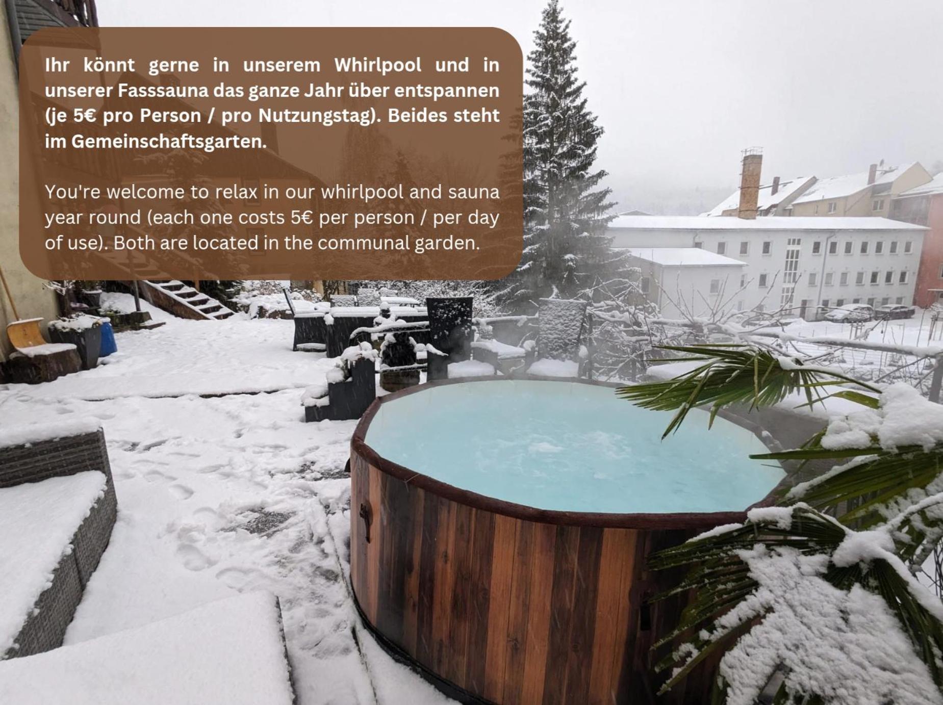 Hw3 - Urlaubsmagie - Helle, Grosse Mit Pool Apartment Sebnitz